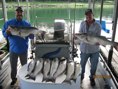 Nice Striped Bass